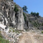 balazsh 2011